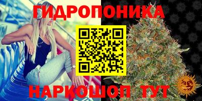 Альфа ПВП Заволжье